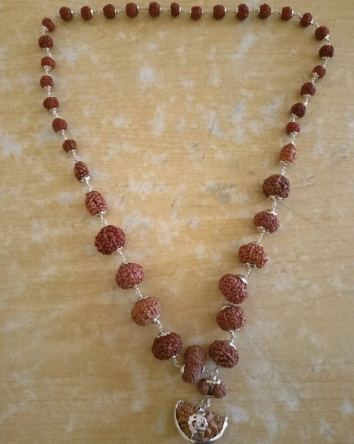 Natural 1 to 14 Mukhi Java Rudraksha Beads Mala in Pure Silver 18 to 20mm Rudraksha Size in India, UK, USA, All Country