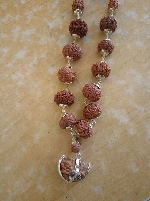Natural 1 to 14 Mukhi Java Rudraksha Beads Mala in Pure Silver 18 to 20mm Rudraksha Size in India, UK, USA, All Country