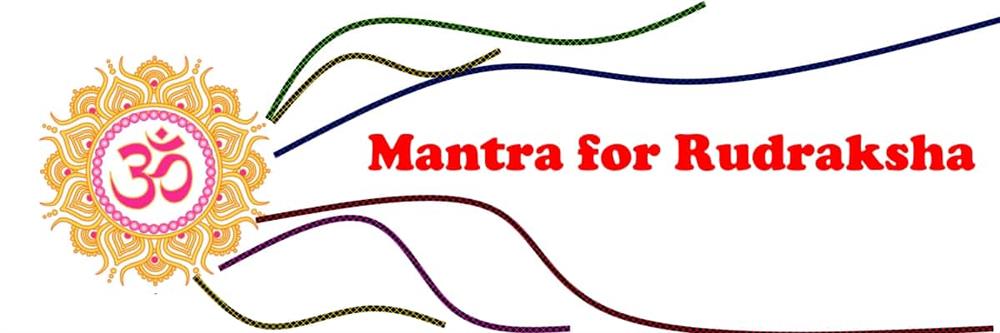 What are the different types of Rudraksha Beeja mantrs for each beads