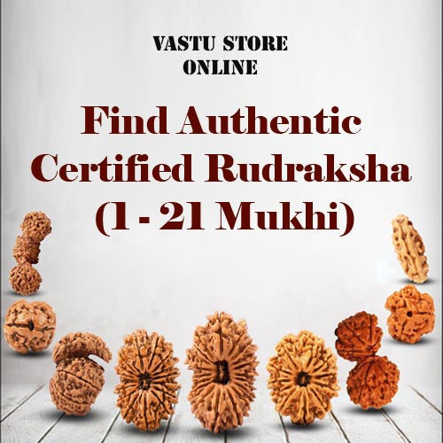 What are the Different Properties of Mukhis