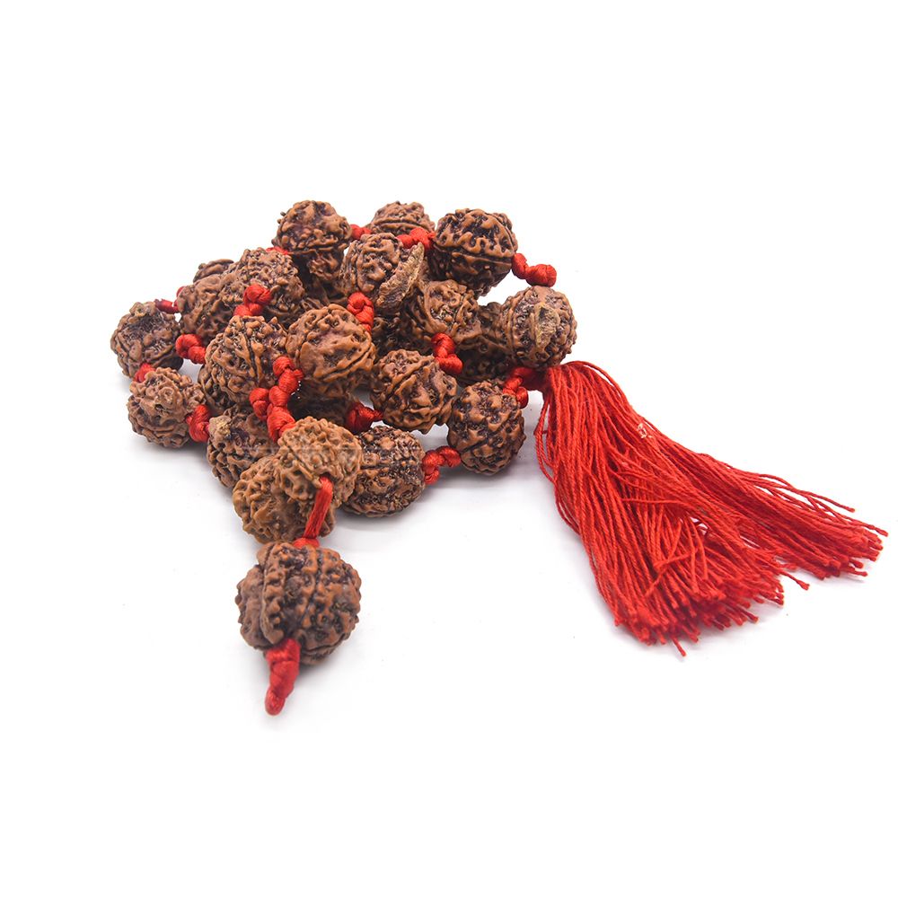 Can we Eat Non Veg while Wearing Rudraksha