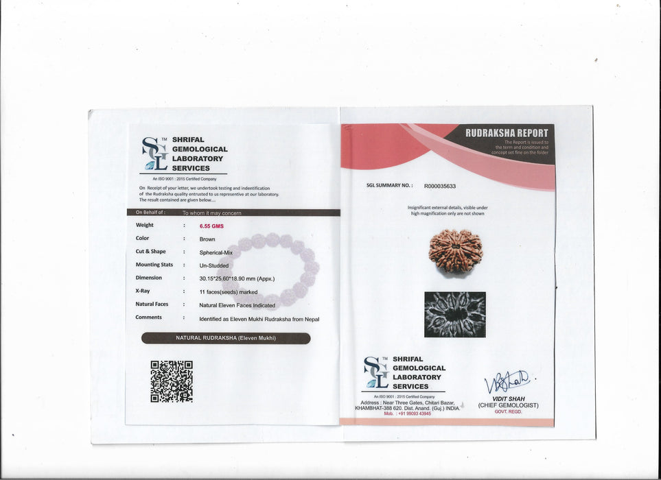 11 Mukhi Nepali Rudraksha Collector Bead with Lab Certificate and X-Ray Report - RM5 in India, UK, USA, All Country