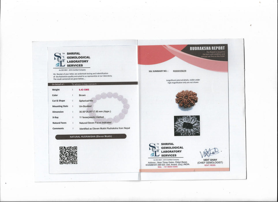 11 Mukhi Nepali Rudraksha Collector Bead with Lab Certificate and X-Ray Report - RM3 in India, UK, USA, All Country
