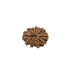 11 Mukhi Nepali Rudraksha Collector Bead with Lab Certificate and X-Ray Report - RM6 in India, UK, USA, All Country
