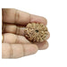 11 Mukhi Nepali Rudraksha Collector Bead with Lab Certificate and X-Ray Report - RM4 in India, UK, USA, All Country