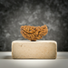 1 Face Kaju Shape Indian Rudraksha in India, UK, USA, All Country
