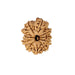 Natural 11 Face Nepali Rudraksha - Lab Certified Only Rudraksha in India, UK, USA, All Country