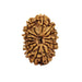 Natural 14 Face Nepali Rudraksha - Lab Certified in India, UK, USA, All Country