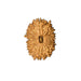 Natural 15 Face Nepali Rudraksha - Lab Certified in India, UK, USA, All Country