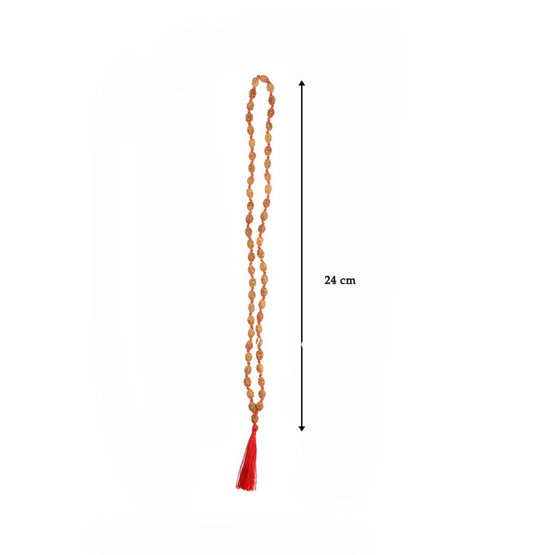 2 Face Rudraksha Mala - Lab Certified in India, UK, USA, All Country