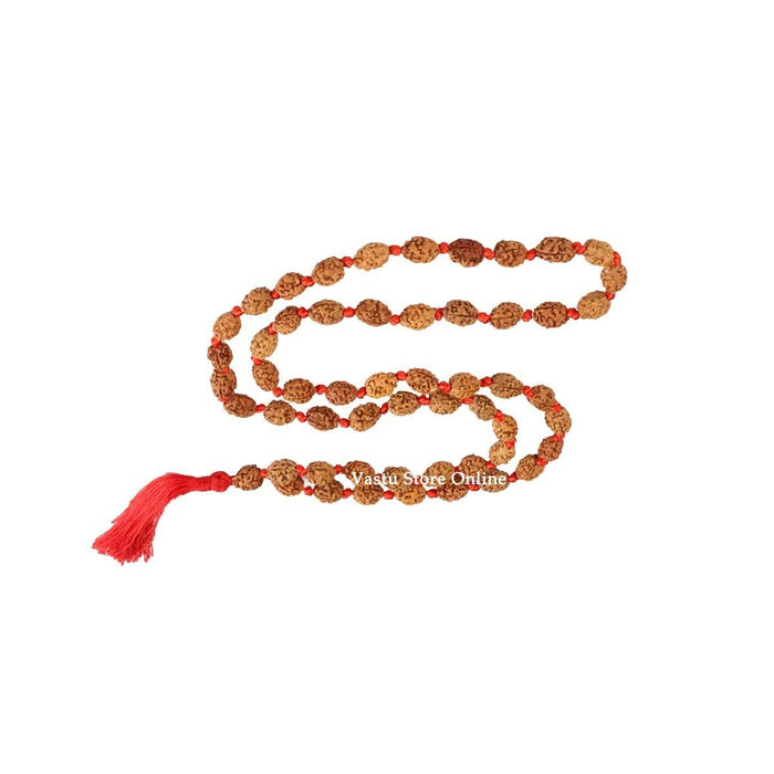 2 Face Rudraksha Mala - Lab Certified in India, UK, USA, All Country