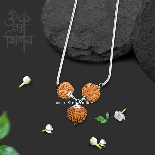 Rudraksha for Strength and Power - 3, 7, 12 Mukhi (faces) All Nepal Rudraksha combination in Silver Pendant with Chain - Lab Certified in India, UK, USA, All Country