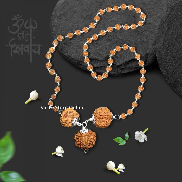 Nepali Rudraksha for Strength and Power - 3, 7, 12 Mukhi (faces) Silver and attach to silver 5 mukhi rudraksha mala, Lab Certified in India, UK, USA, All Country