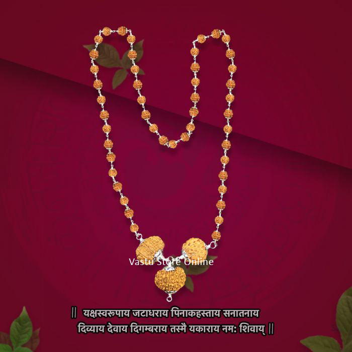 Nepali Rudraksha Combination for Vocal Power and Intelligence - 4,9,12 Mukhi (faces) with Rudraksha Mala, Lab Certified in India, UK, USA, All Country