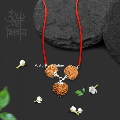 Rudraksha for Strength and Power - 3, 7, 12 Mukhi (faces) All Nepal Rudraksha combination in Silver Pendant with Red Thread, Lab Certified in India, UK, USA, All Country