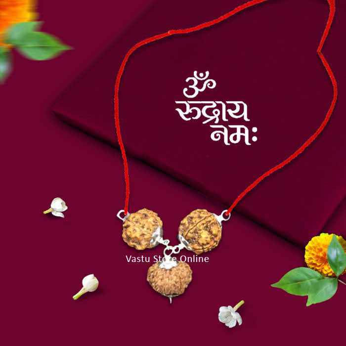 Nepali Rudraksha Combination for Protection from Evil Effects - 9,10,11 Mukhi (faces) in Silver Pendant with Red Thread, Lab Certified in India, UK, USA, All Country