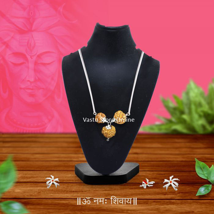 Nepali Rudraksha Combination for Vocal Power and Intelligence - 4,9,12 Mukhi (faces) with Silver Chain, Lab Certified in India, UK, USA, All Country