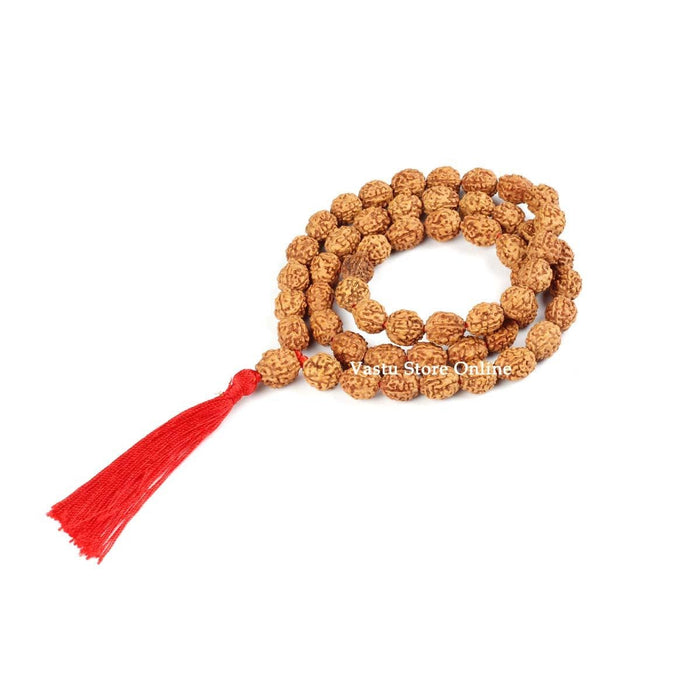 3 Face Rudraksha Mala - Lab Certified in India, UK, USA, All Country