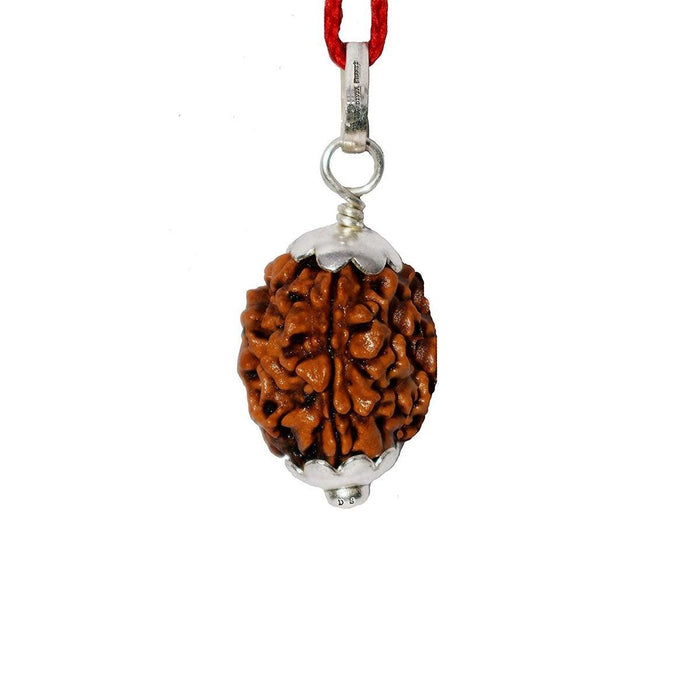 Natural 3 Face Nepali Rudraksha - Lab Certified in India, UK, USA, All Country