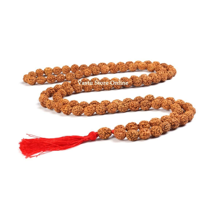 3 Face Rudraksha Mala - Lab Certified 108+1 in India, UK, USA, All Country