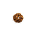 Natural 5 Face Nepali Rudraksha - Lab Certified in India, UK, USA, All Country