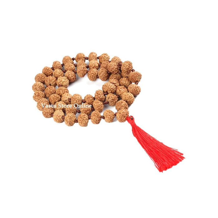 6 Face Rudraksha Mala - Lab Certified 54+1 in India, UK, USA, All Country