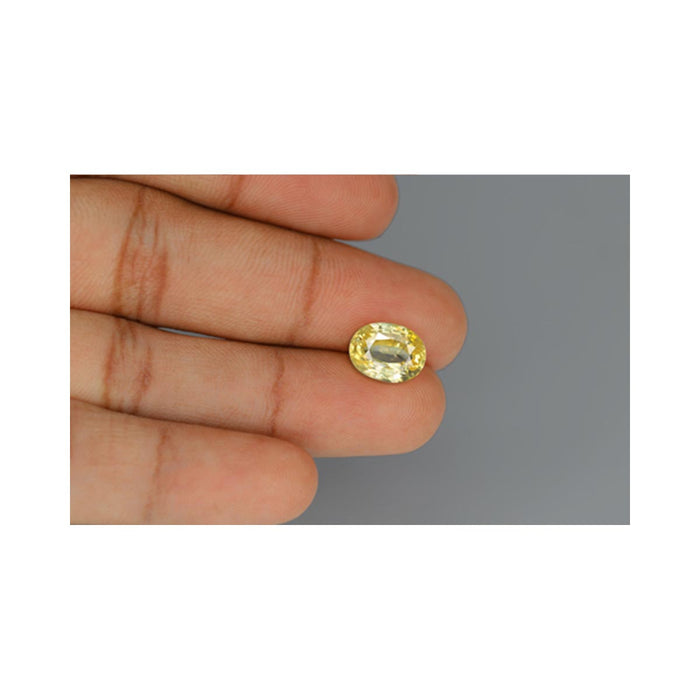 Natural Ceylon Yellow Sapphire - 8 in India, UK, USA, All Country