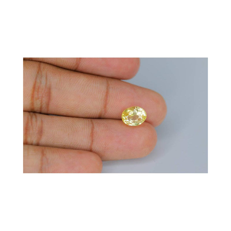 Natural Ceylon Yellow Sapphire - 11 in India, UK, USA, All Country