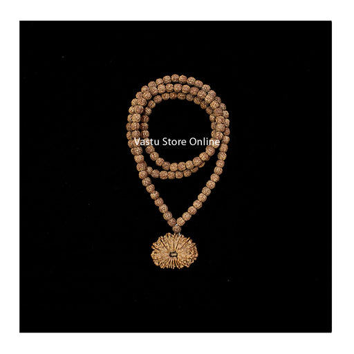 14 Mukhi + 5 Mukhi Mala Rudraksha Dhyana Sadhana Combination ( Meditation and Spritiuality) in India, UK, USA, All Country