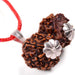 Natural Gauri Shankar Nepali Rudraksha - Lab Certified with Silver Capping in India, UK, USA, All Country