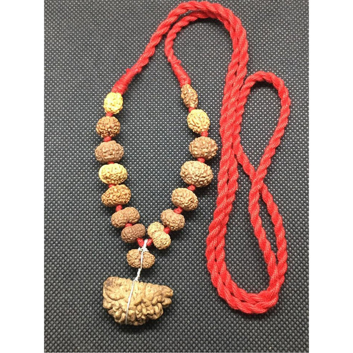 1 to 14 Mukhi + Ganesh and Gauri Shanakar Java Siddha Mala in very small size beads In Red Thread, 10 mm - 12 mm Lab Certified in India, UK, USA, All Country