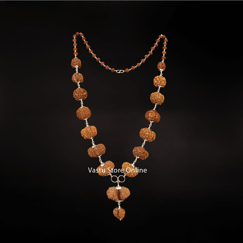 1 Mukhi to 14 Mukhi Rudraksha, Gaurishankar and a Ganesh Rudraksha - Siddha Mala Lab Certified in India, UK, USA, All Country