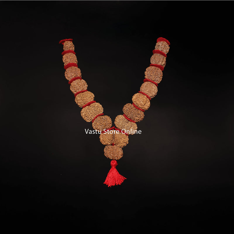 1 Mukhi Savar to 16 Mukhi Nepali Rudraksha - Sarva Siddha Mala Lab Certified in India, UK, USA, All Country