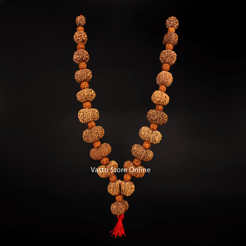 1 Mukhi to 19 Mukhi Rudraksha, Gaurishankar and a Ganesh Rudraksha - Maha MrityunJaya Siddha Mala Lab Certified in India, UK, USA, All Country