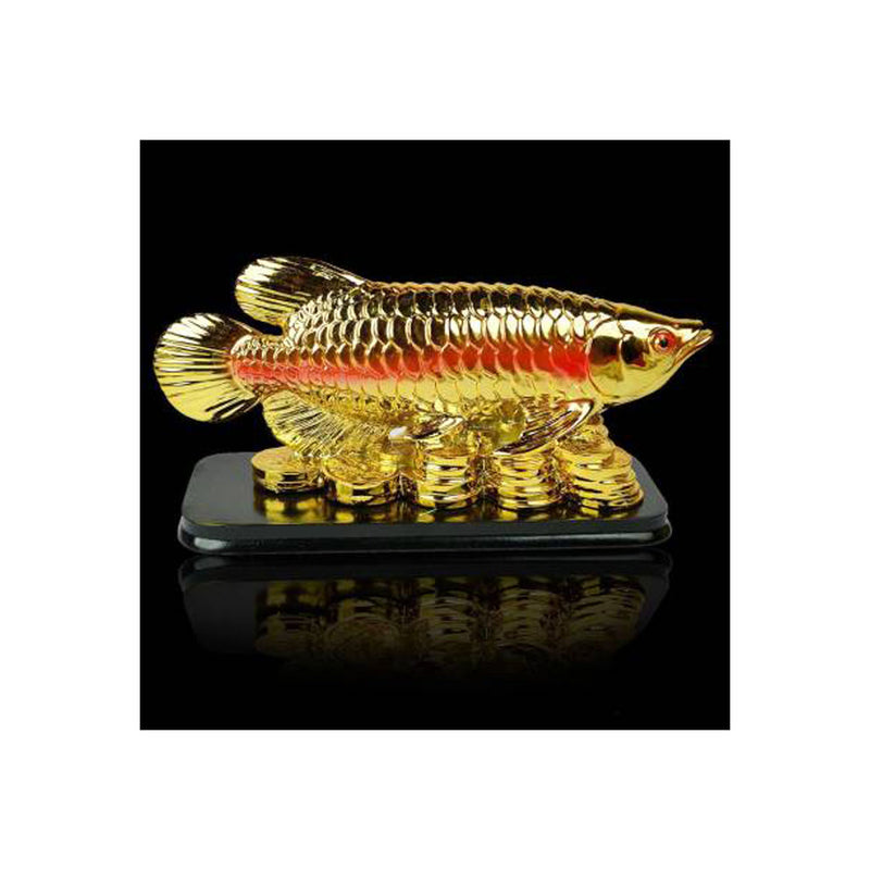 Feng Shui Fish with Coins for Career Luck and Education Luck in India, UK, USA, All Country