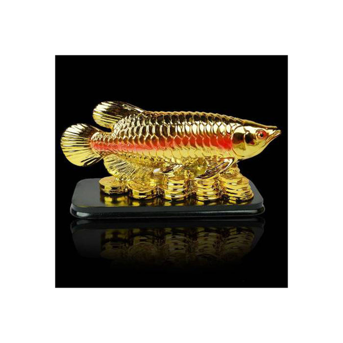Feng Shui Fish with Coins for Career Luck and Education Luck in India, UK, USA, All Country