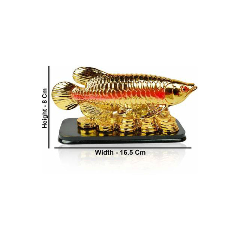 Feng Shui Fish with Coins for Career Luck and Education Luck in India, UK, USA, All Country