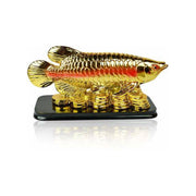 Feng Shui Fish with Coins for Career Luck and Education Luck in India, UK, USA, All Country