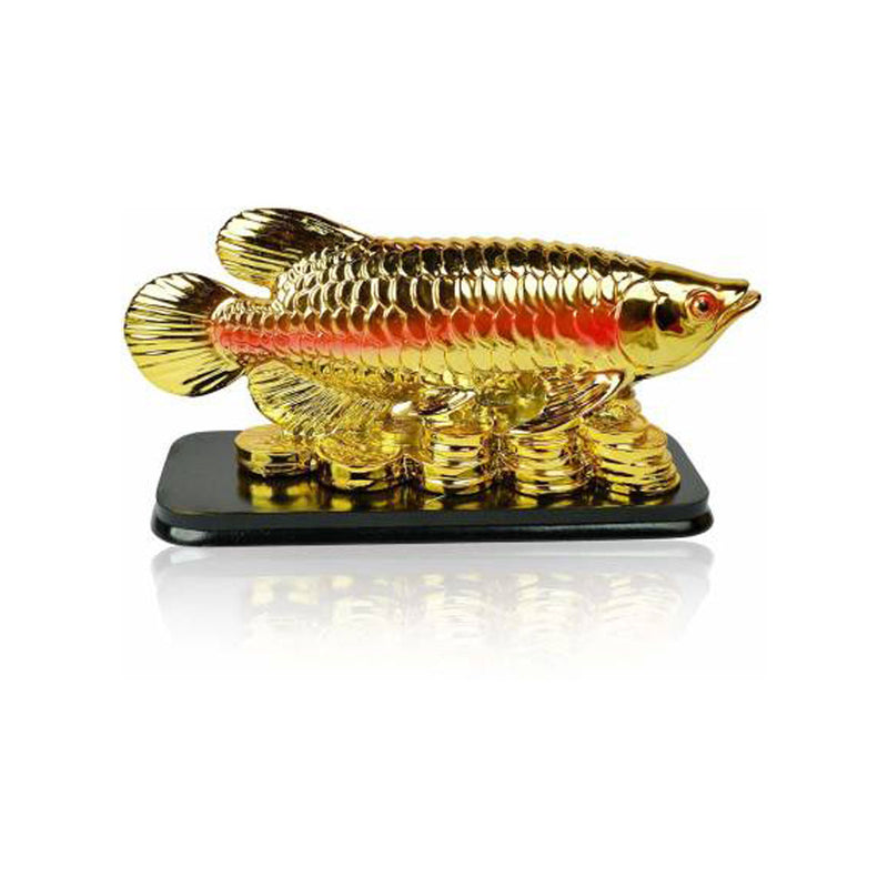 Feng Shui Fish with Coins for Career Luck and Education Luck in India, UK, USA, All Country