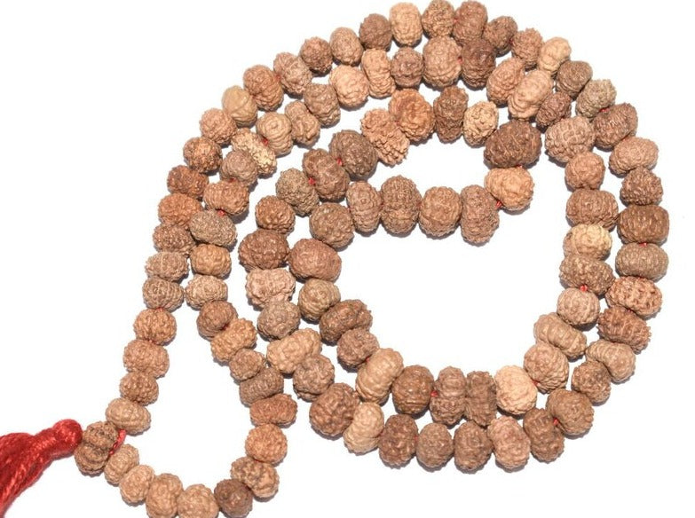 11 Mukhi Java Rudraksha Mala / Ekadash Rudra Mala - 108+1 Beads in India, UK, USA, All Country