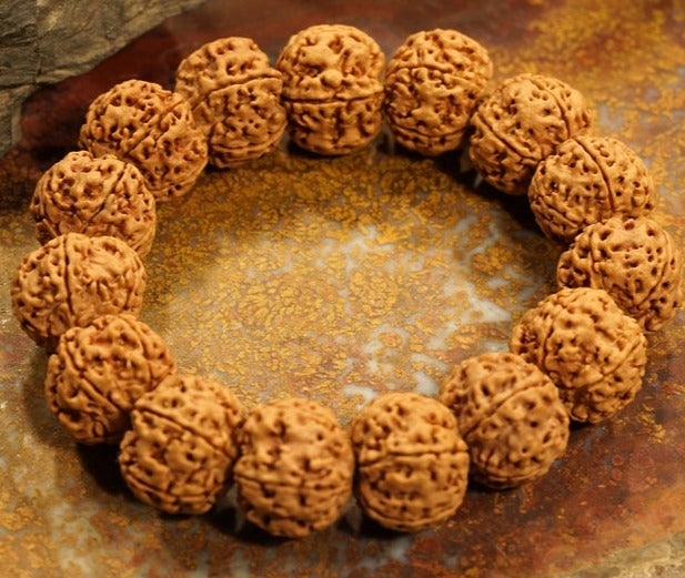 Five Face Rudraksha Adjustable Bracelet Very Large Rudraksha Beads - 20mm in India, UK, USA, All Country