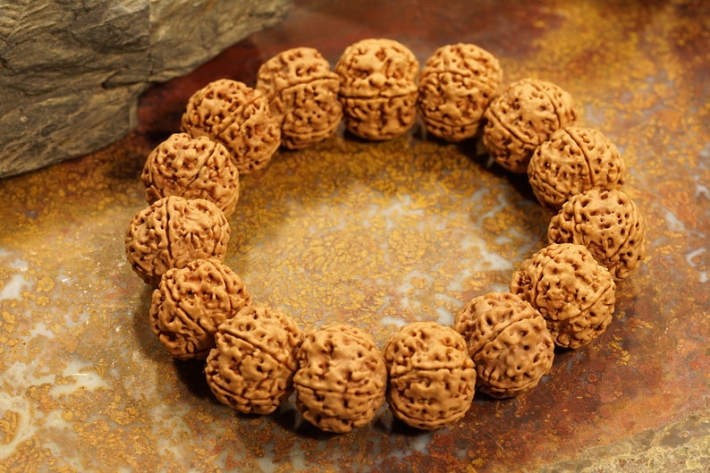 Five Face Rudraksha Adjustable Bracelet Very Large Rudraksha Beads - 20mm in India, UK, USA, All Country