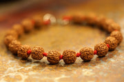 5 Mukhi Rudraksha Chikna Breads Bracelet in Red Thread in India, UK, USA, All Country