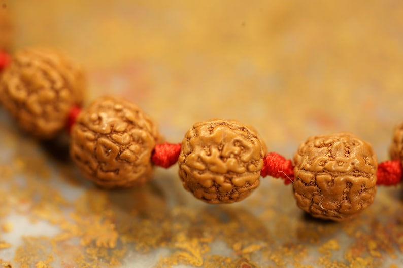 5 Mukhi Rudraksha Chikna Breads Bracelet in Red Thread in India, UK, USA, All Country