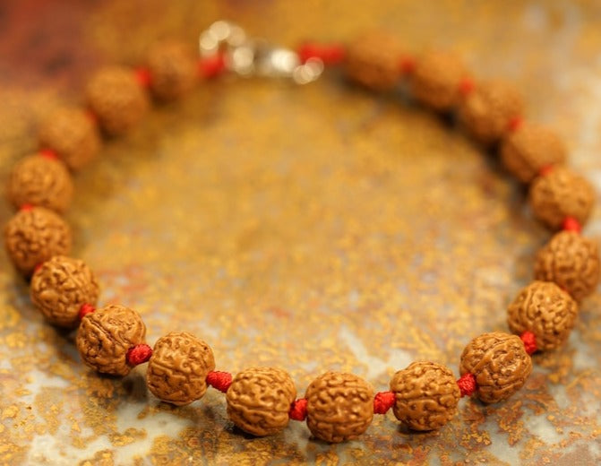 5 Mukhi Rudraksha Chikna Breads Bracelet in Red Thread in India, UK, USA, All Country