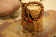 Adjustable Indonesian Rudraksha Bracelets | 2 Mukhi to 10 Mukhi in India, UK, USA, All Country