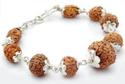 2 to 9 and 12 Mukhi (face) Indonesian Navgrah Rudraksha Beads Bracelet In Silver, To Pacify All The Nine Planets in India, UK, USA, All Country
