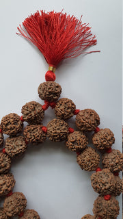 5 Face Nepali Rudraksha knotted Prayer Kantha Mala Necklace 32+1 Beads in India, UK, USA, All Country
