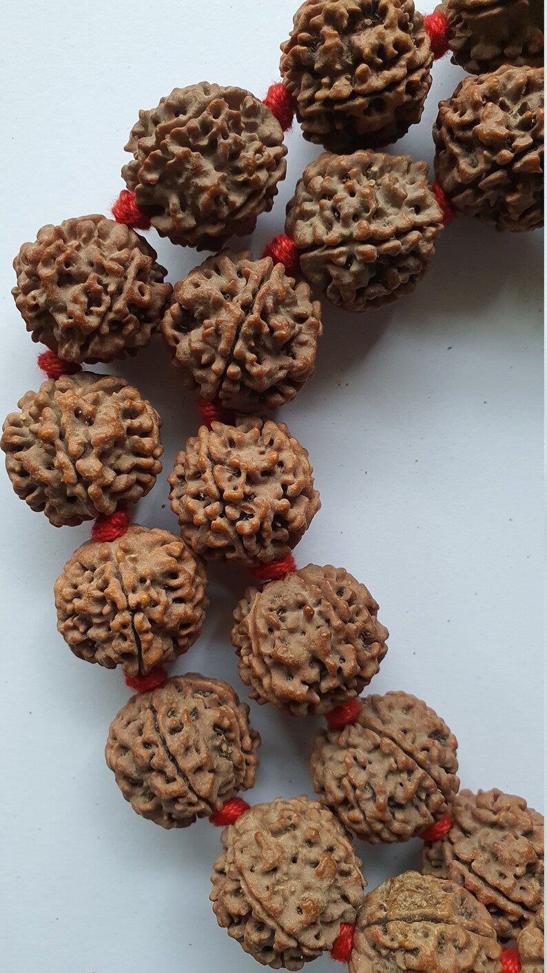 5 Face Nepali Rudraksha knotted Prayer Kantha Mala Necklace 32+1 Beads in India, UK, USA, All Country