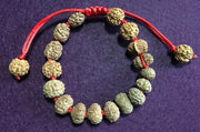 Indonesian Rudraksha Siddha Bracelet - 2 to 14 Face Rudraksha + Gauri Shankar & Ganesh in India, UK, USA, All Country